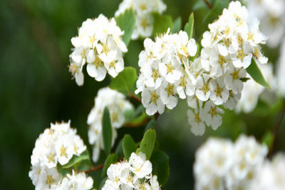 植物保護(hù)在職研究生學(xué)費(fèi)學(xué)制詳解！